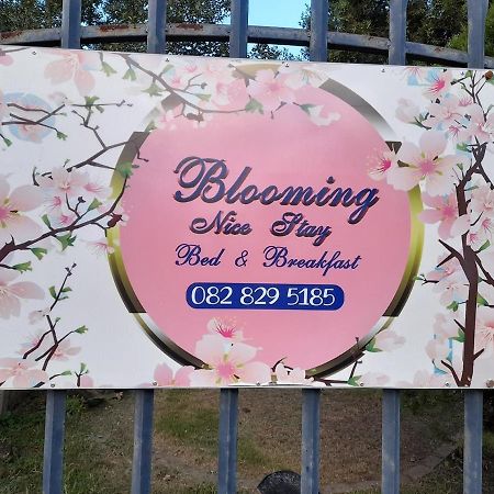 Blooming Nice Stay Harrismith Kültér fotó