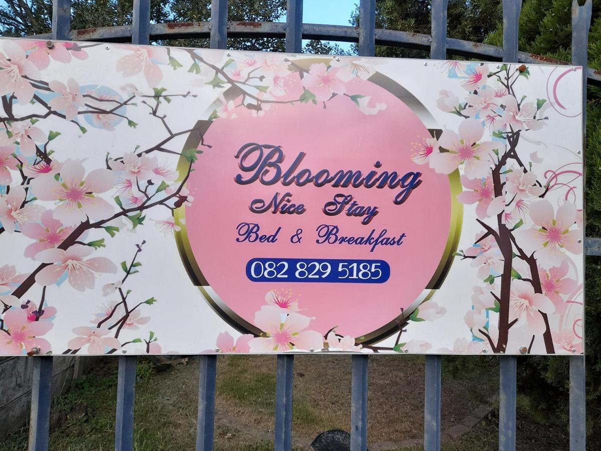 Blooming Nice Stay Harrismith Kültér fotó